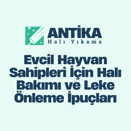 blog-image