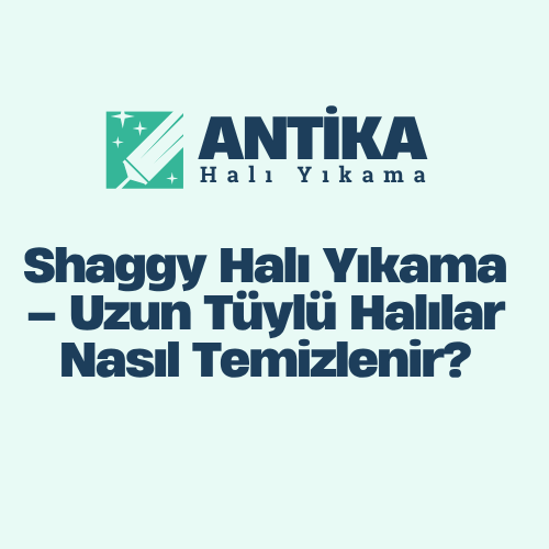 blog-image