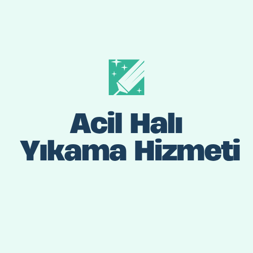  Acil Halı Yıkama Hizmeti
