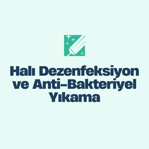  Halı Dezenfeksiyon ve Anti-Bakteriyel Yıkama