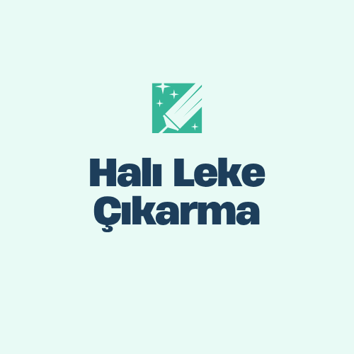  Halı Leke Çıkarma